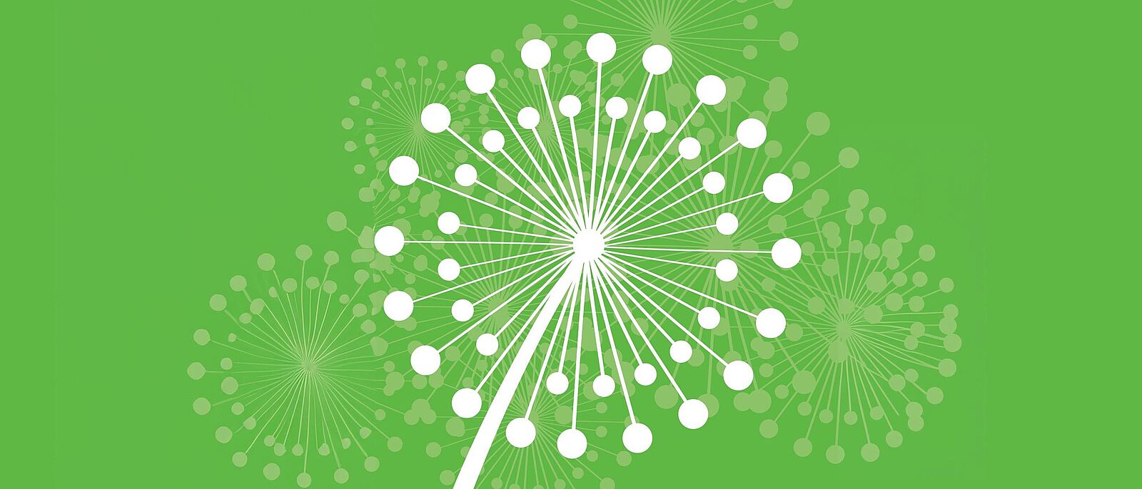 Bildmarke des Sächsischen Gründerinnenpreis, eine illustrierte weiße Pusteblume auf grünem Hintergrund. Daneben die Wortmarke \"Sächsischer Gründerinnenpreis 2024\". Oben das Logo des Sächsisches Staatsministerium der Justiz und für Demokratie, Europa und Gleichstellung.
