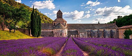 Blick von einem blühenden Lavendelfeld auf eine Abtei in Frankreich.